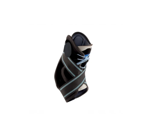 Malleodynastab.png