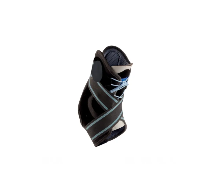 Malleodynastab.png